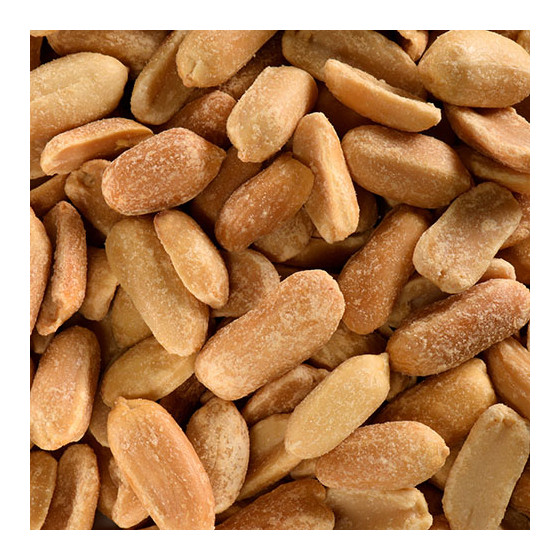 CACAHUETES GRILLEES SALEES BIO