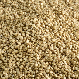 QUINOA BLANC BIO