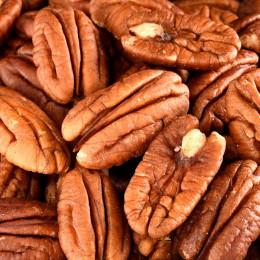 NOIX DE PECAN BIO