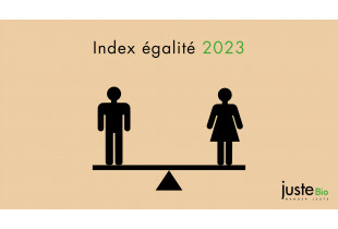 Index égalité 2023